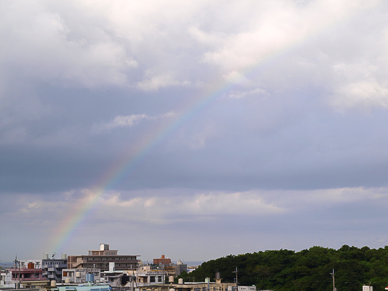 081114_08bow_w.jpg