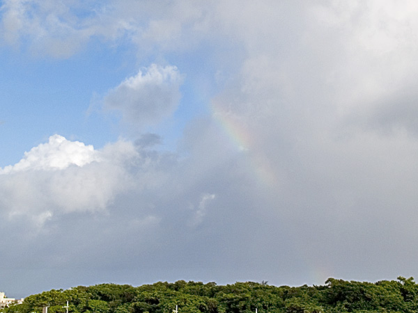060809_04bow.jpg