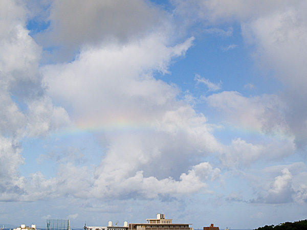 060824_06bow_up.jpg