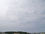 060921_05.jpg