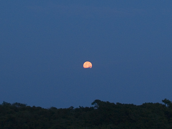 061205_02moonz.jpg