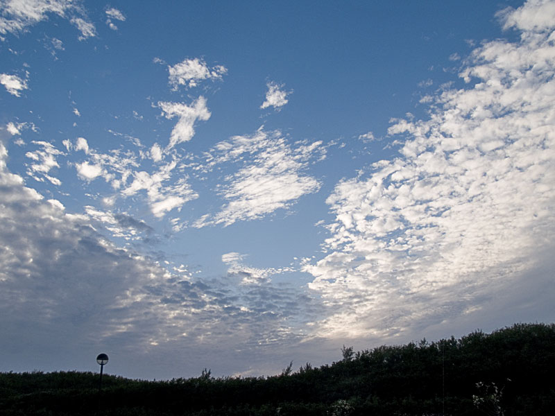 070116_03sangyo_field.jpg
