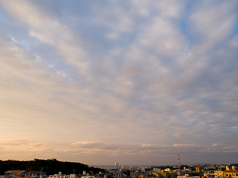070122_10_g.jpg