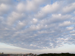070123_07cl_w_g.jpg