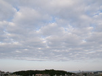 070126_02.jpg