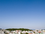 070126_03bluesky.jpg