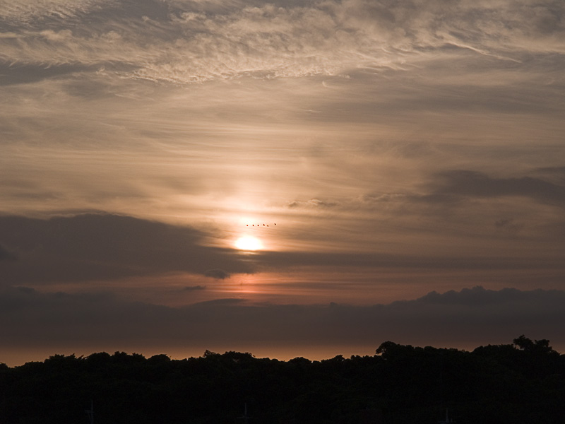 070621_06sun_birds.jpg