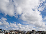 070622_08s.jpg