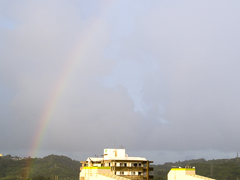 070626_08bow_l_z_g.jpg
