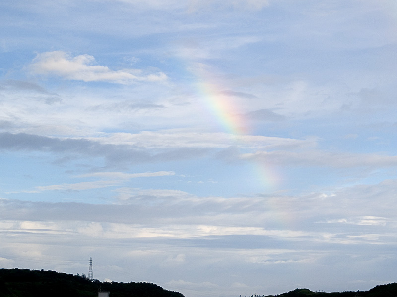 070916_08bow.jpg