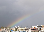 070921_06bow_z_g.jpg