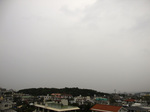 080314_01.jpg