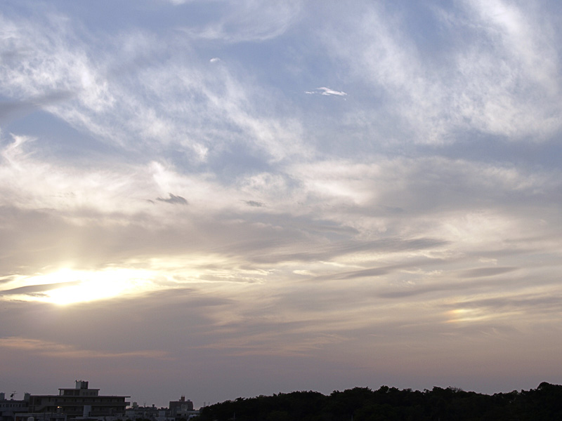 080325_06kousai.jpg
