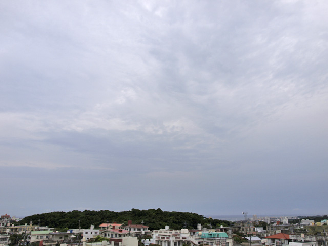 080501_01.jpg