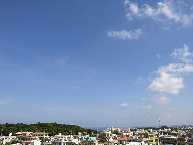 0807089_01.jpg