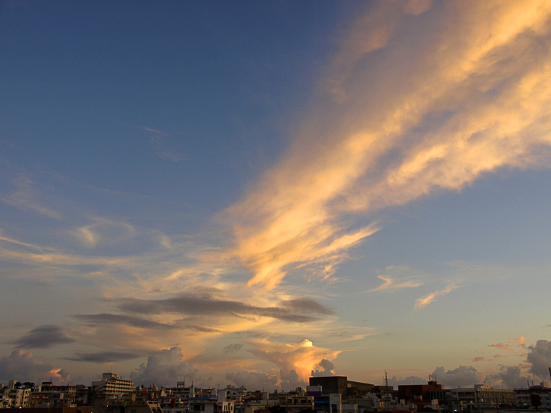 080715_09cl_g.jpg