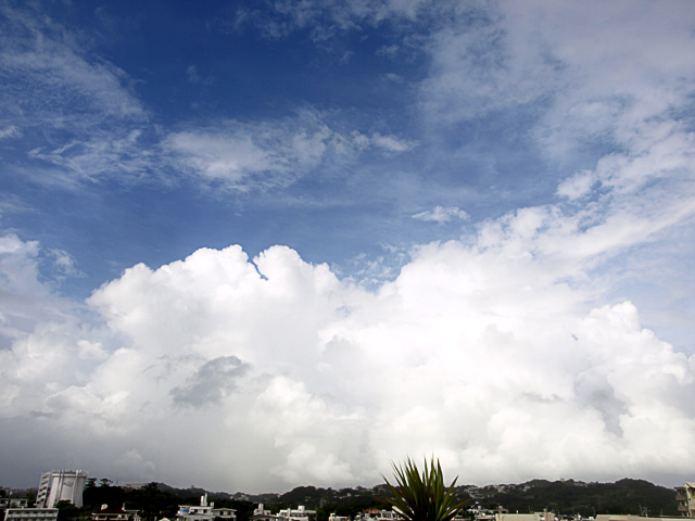 080717_03.jpg