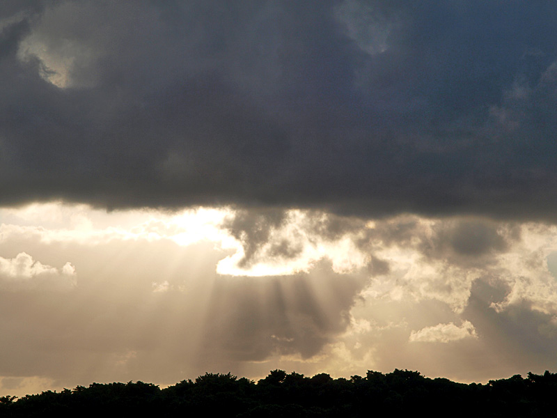 080719_04angel_z.jpg