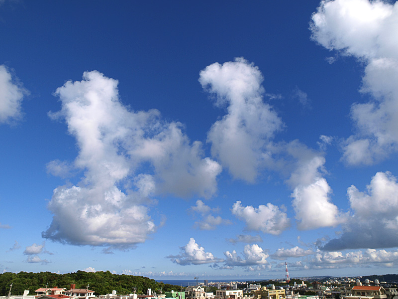 080801_01.jpg