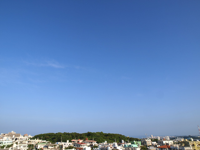 080806_01.jpg