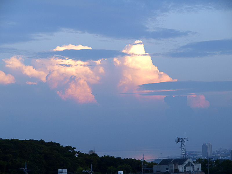 080807_01w_cl_g.jpg