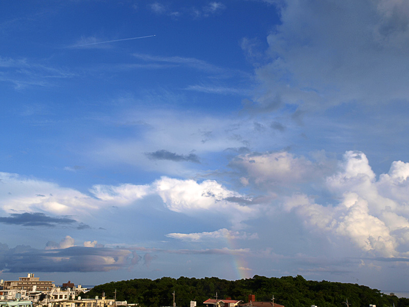 080808_01bow_air.jpg