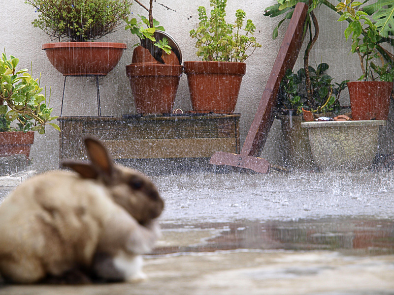 080810_03katabui_kun_z.jpg
