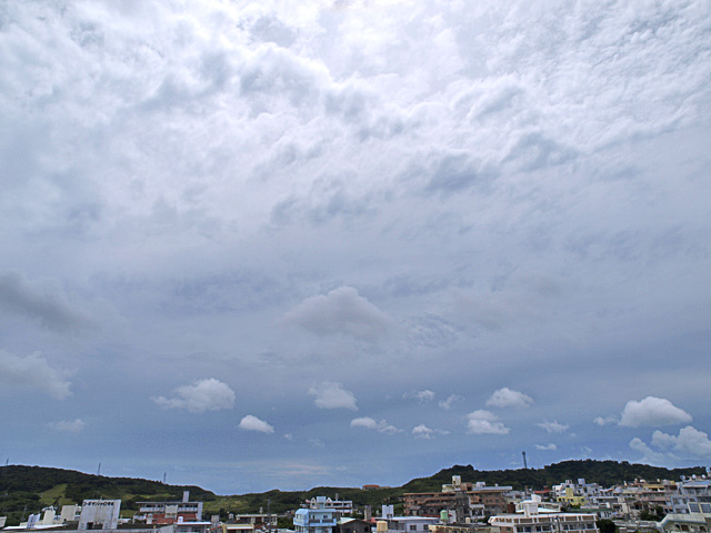 080811_03.jpg