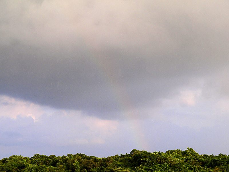 080814_02bow_z.jpg