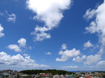 080814_08bl.jpg