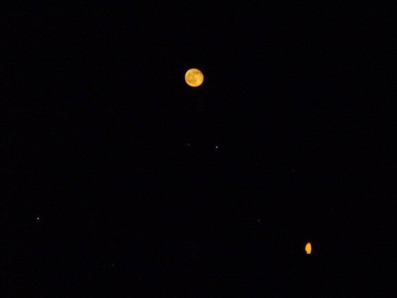 080818_05moon.jpg