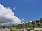 080819_04dfs.jpg