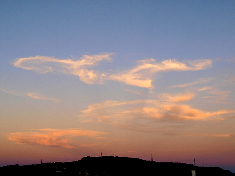 080819_06e_l.jpg