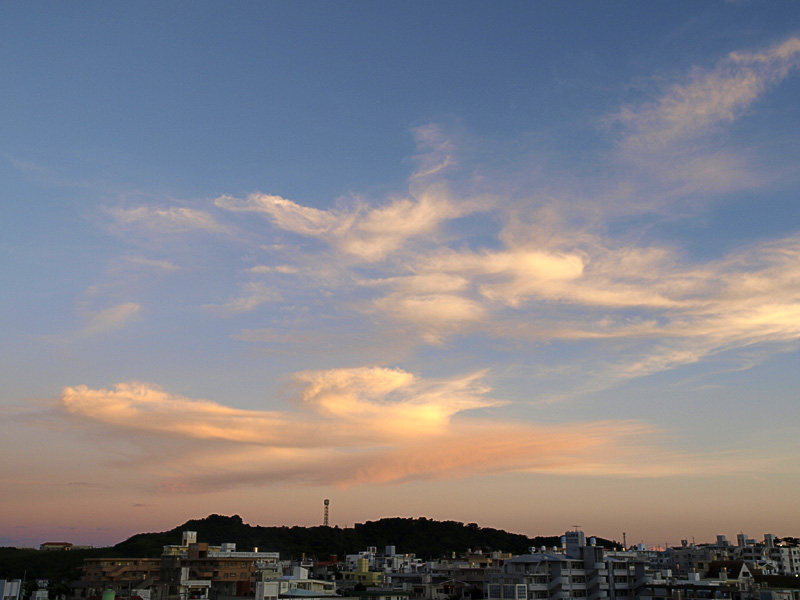 080819_08e_r.jpg