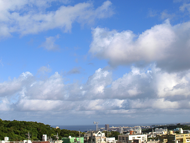 080820_01.jpg