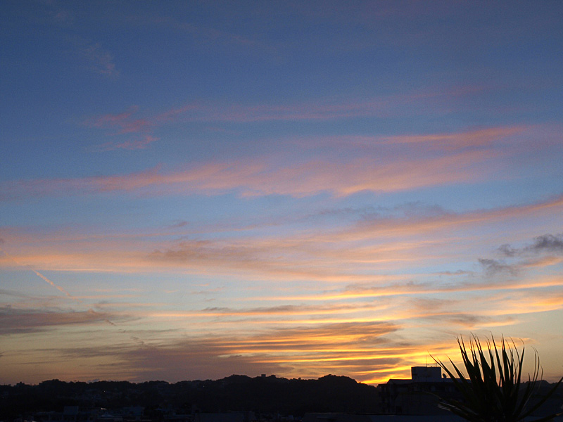 080823_01dawn.jpg