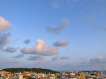 080828_02.jpg