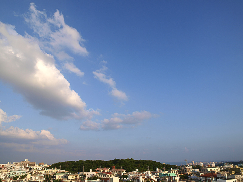 080904_01.jpg