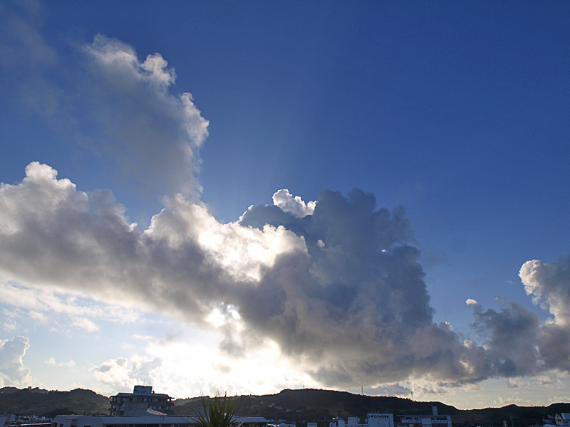080909_03.jpg
