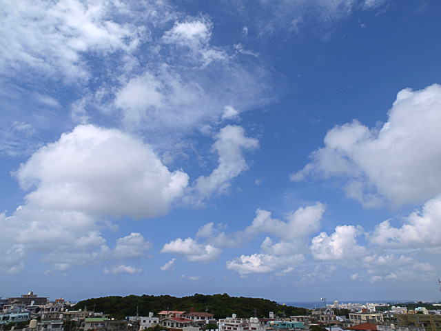 080910_01.jpg