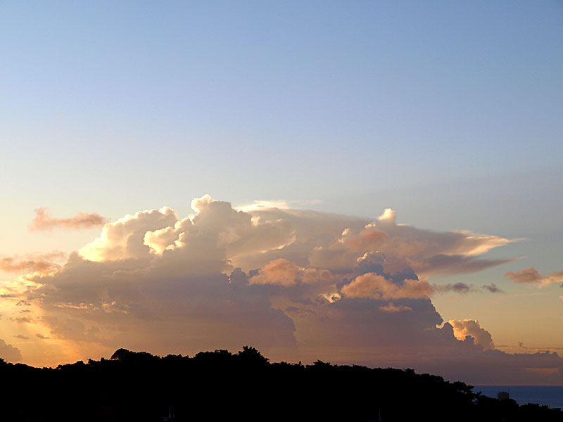 080924_07seki1.jpg