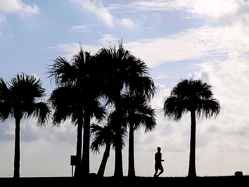 081004_03jogging_g.jpg