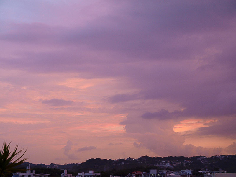 081007_02G.jpg