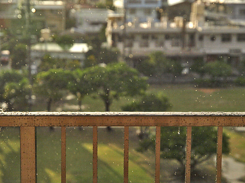 081016_02raindrop.jpg