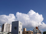 081020_02.jpg