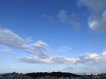 081021_02bow_little.jpg