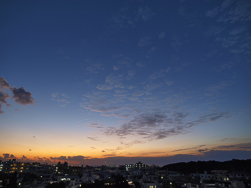 081030_04.jpg