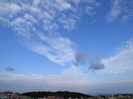 081228_02.jpg