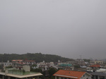081229_03.jpg