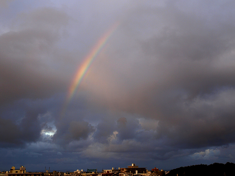 090102_03_bow_l.jpg